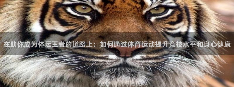 米兰体育官方平台体育