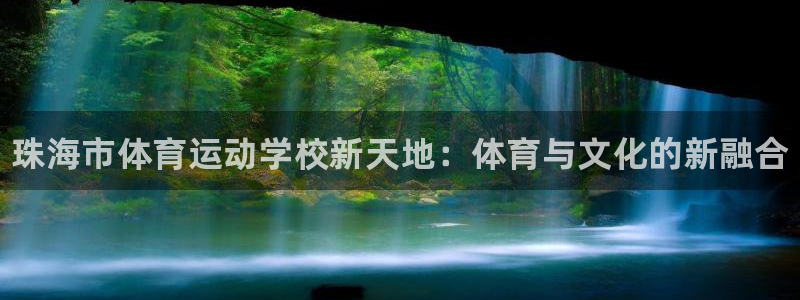 米兰体育官方正版app集团E.ON：珠海市体育运动学校新天地