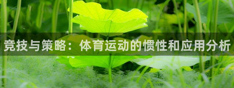米兰体育官方正版app娱乐平台：竞技与策略：体育运动的惯性和