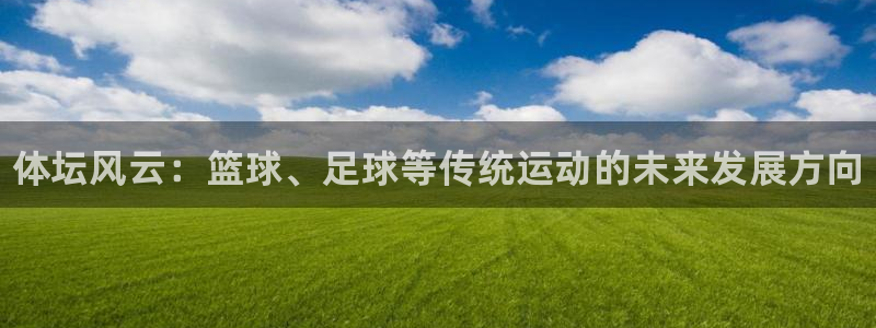 米兰体育官方正版app娱乐是那个系列的台子：体坛风云：篮球、