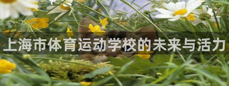 米兰体育官方正版app集团官网网址：上海市体育运动学校的未来