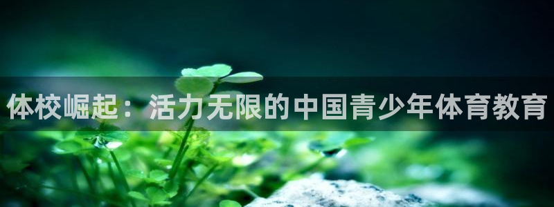 米兰体育官网下载开户：体校崛起：活力无限的中国青少年