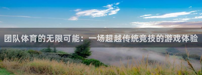 米兰体育官网下载平台注册要钱吗安全吗：团队体育的无限