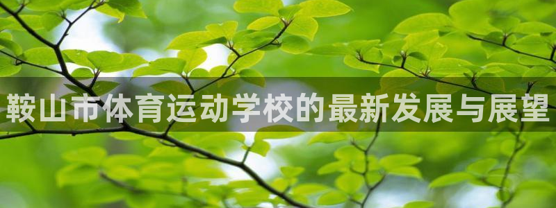 海南米兰体育官网下载发展怎么样：鞍山市体育运动学校的最新发展