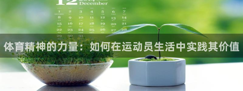米兰体育官网下载招商电话地址：体育精神的力量：如何在