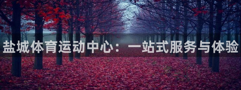 米兰体育官网下载招商电话：盐城体育运动中心：一站式服
