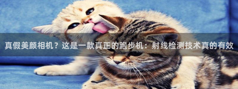 米兰体育官方正版app集团官网首页网址：真假美颜相机