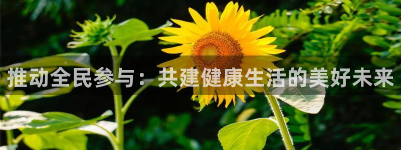 米兰体育官网下载平台假的吗是真的吗吗：推动全民参与：共建健康