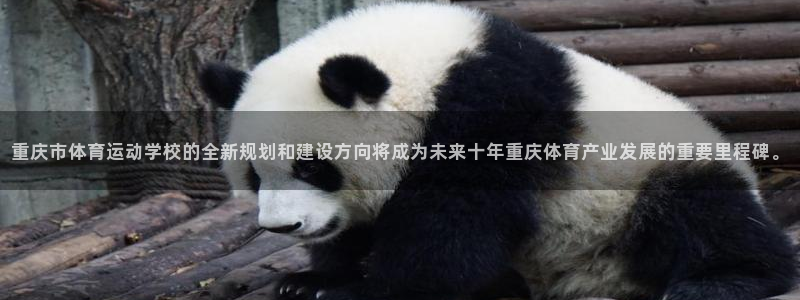 米兰体育官网下载平台是正规平台吗：重庆市体育运动学校的全新规