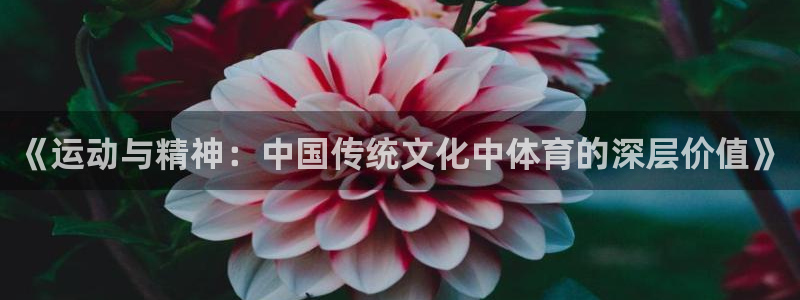 米兰体育官网下载招商电话号码查询是多少：《运动与精神：中国传