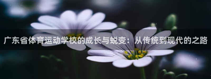 米兰体育官网下载平台注册流程视频：广东省体育运动学校