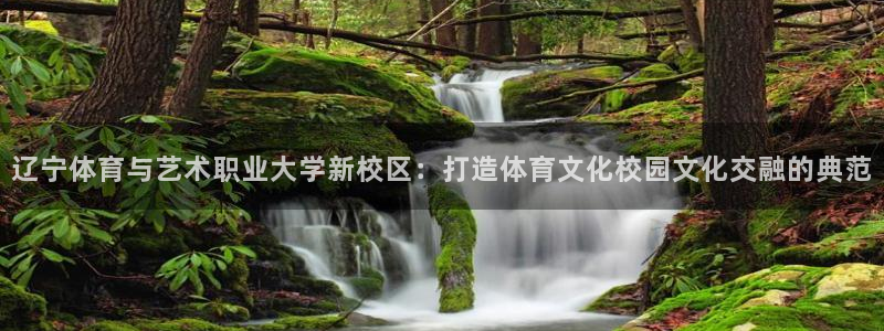 海南米兰体育官网下载发展怎么样：辽宁体育与艺术职业大学新校区