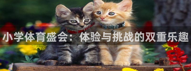 米兰体育官方平台体育：小学体育盛会：体验与挑战的双重乐趣