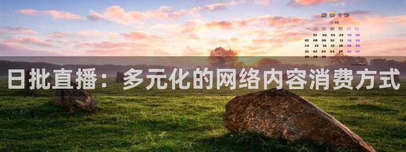 雨燕体育直播免费观看比赛