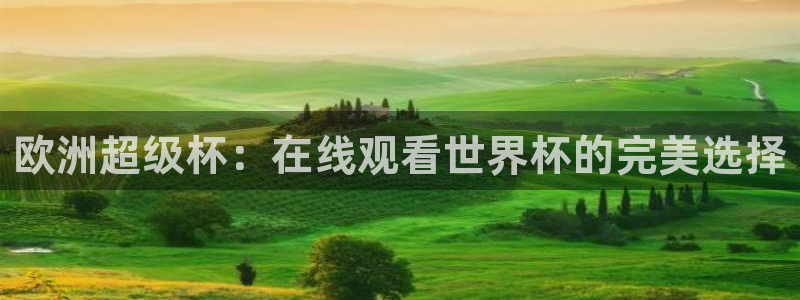 雨燕360体育免费直播链接：欧洲超级杯：在线观看世界杯的完美选择
