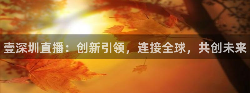 足球直播平台雨燕：壹深圳直播：创新引领，连接全球，共创未来