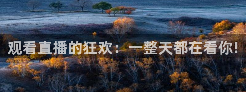 雨燕直播nba在线：观看直播的狂欢：一整天都在看你!