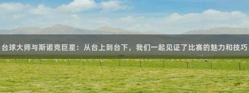 雨燕体育赛事直播：台球大师与斯诺克巨星：从台上到台下，我们一起见证了比赛的魅力和技巧