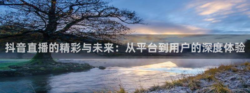 雨燕体育直播高清：抖音直播的精彩与未来：从平台到用户的深度体验
