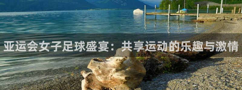jrs直播吧nba直播雨燕：亚运会女子足球盛宴：共享运动的乐趣与激情